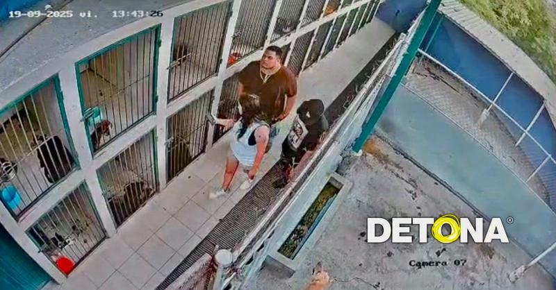 Pululan mascotas género humano, en la propaganda política