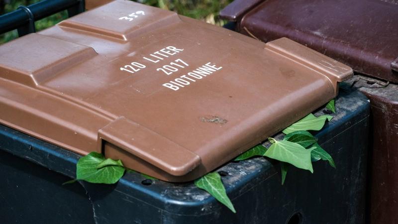 So landen die wichtigen Reformen im Müll