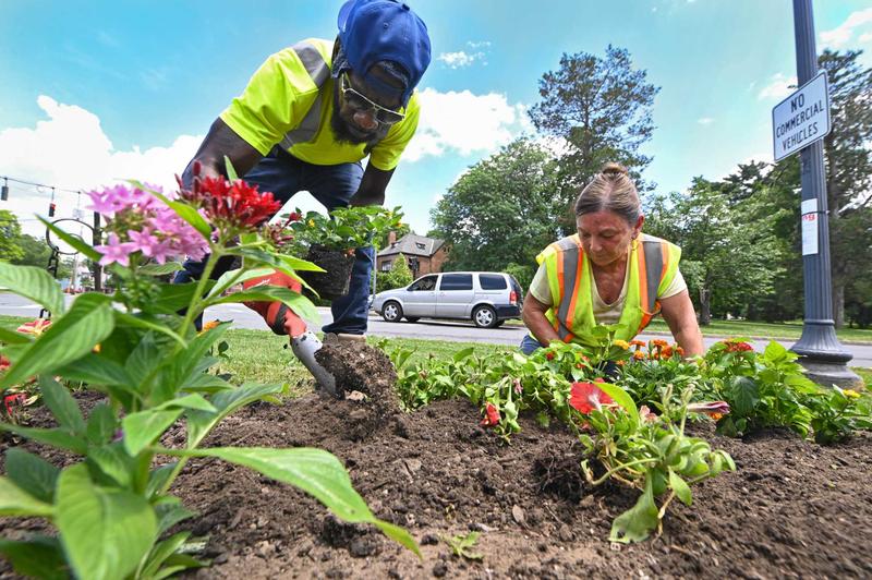 Letters: Albany's gardens are 'spectacular'