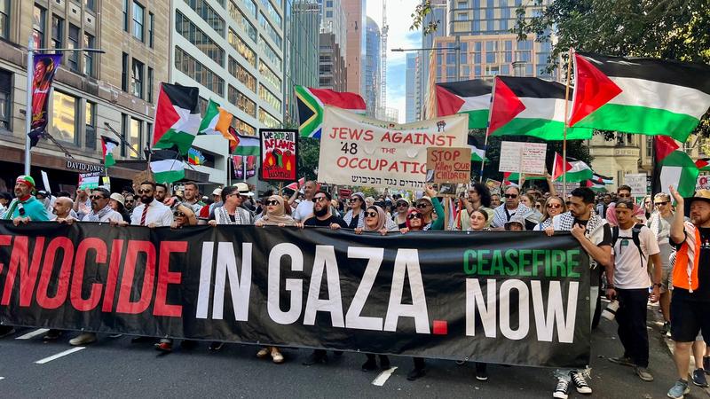 A Crisis of Conscience: How Israel's Internal Divisions Are Deepening Palestine's Tragedy