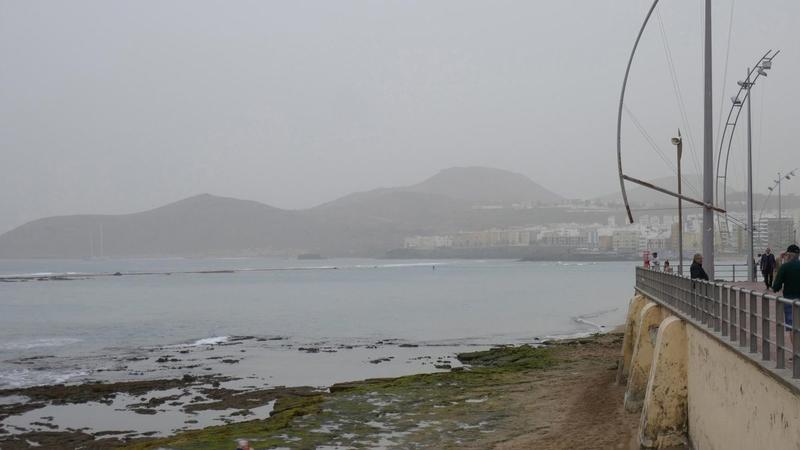 Canarios en el mundo