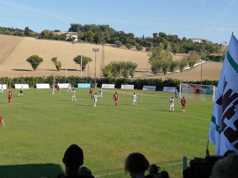 Canestrari consola l’Alma: 