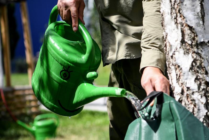 Unser Freund, der Baum