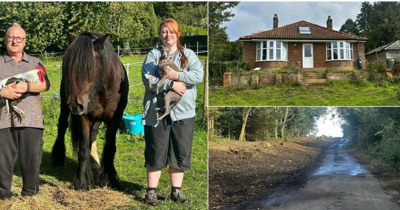 Dream home is 'ruined' as ancient hedgerow destroyed for dual carriageway works