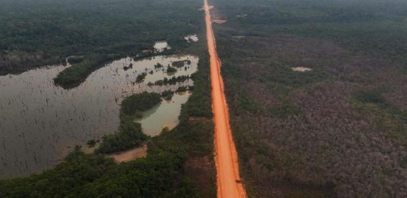 Pavimentar a BR-319 pode causar danos irreversíveis à Amazônia