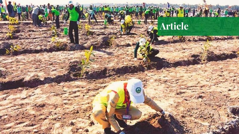Reforestation – An Urgent Need 