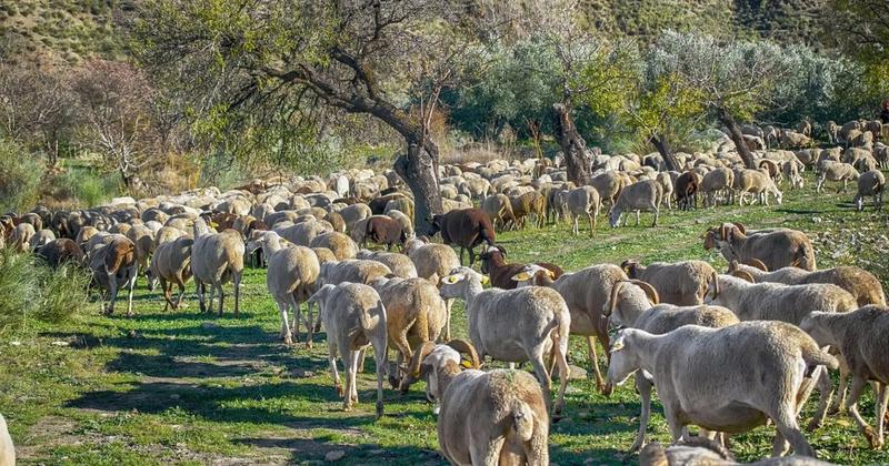Μπορούμε να πάμε σε μικρές ζωοτροφικές μονάδες;