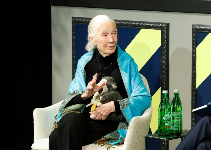 Dr. Jane Goodall’s Take On Sustainability In Trying Times: ‘Have Courage’