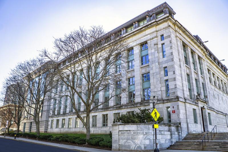 Excellence over wokeness: New rankings reveal the REAL top medical schools