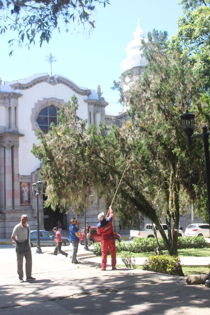 Inició plan de rehabilitación de la plaza Bolívar de Mérida