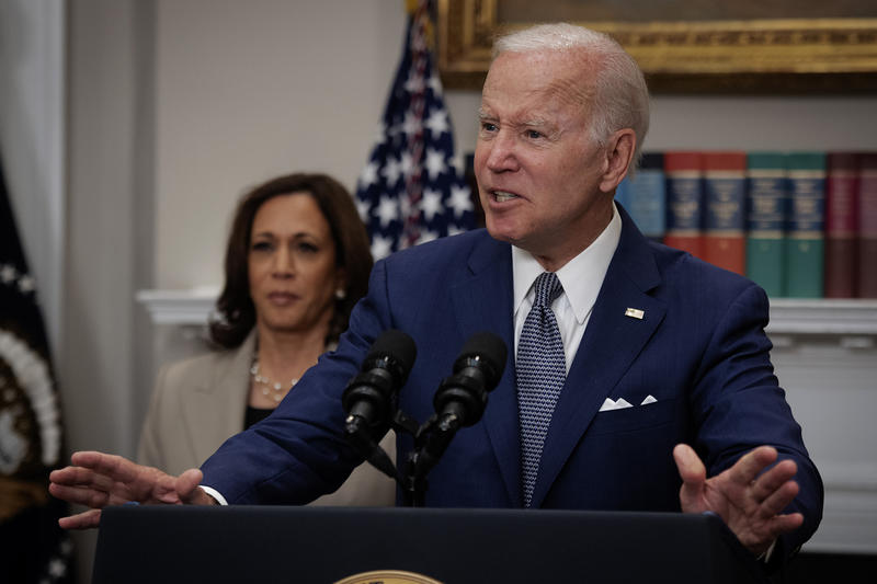 Miranda Devine: Kamala Harris blames Biden, Dems and everything but herself – we simply deserved a better candidate