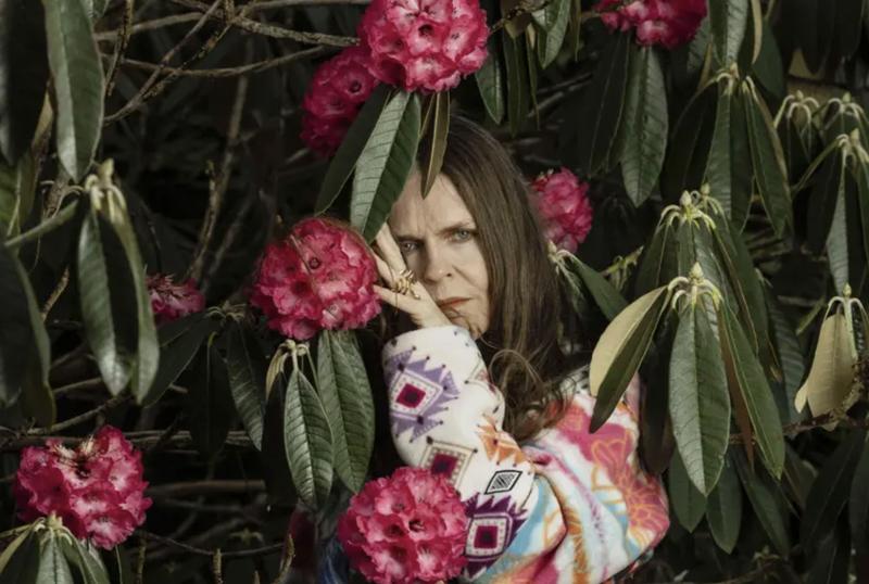 50 years of Linder’s art – feminism, punk and the power of plants