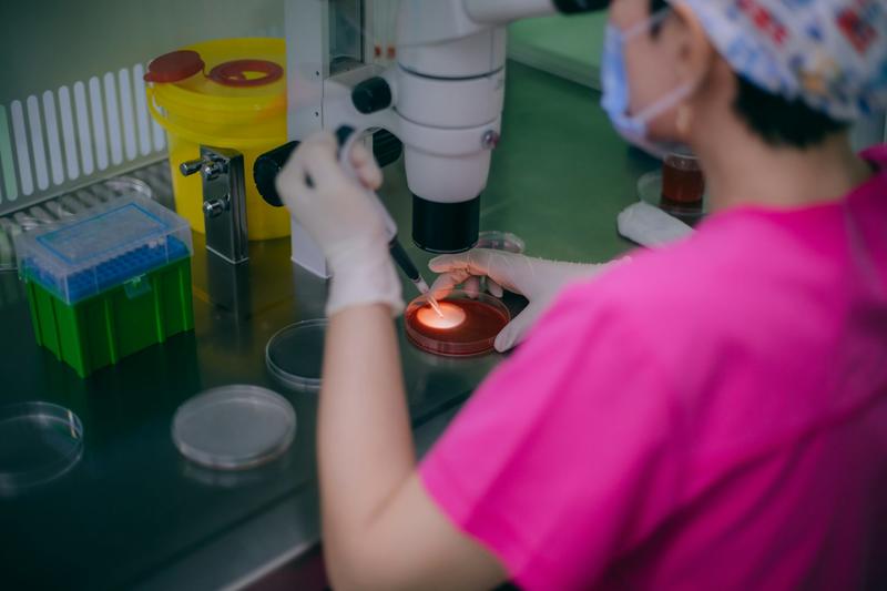 Pruebas genéticas en reproducción asistida: entre las promesas de salud y el ‘marketing’ dudoso