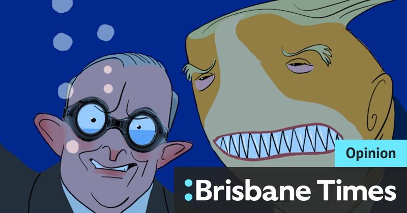 No need to rush, Albanese. Meeting with Trump can leave a country worse off