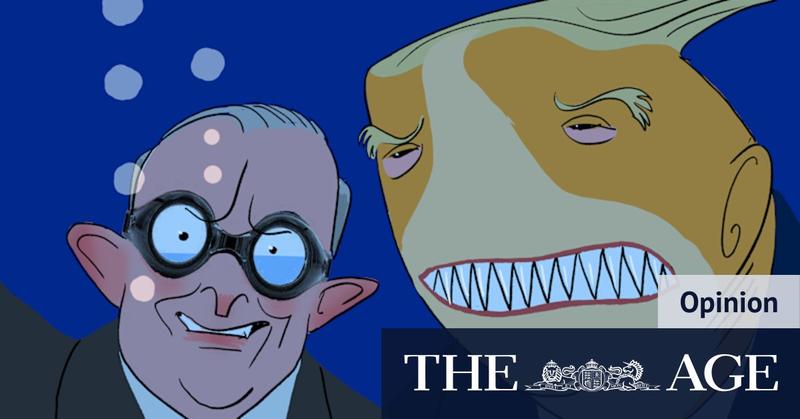 No need to rush, Albanese. Meeting with Trump can leave a country worse off