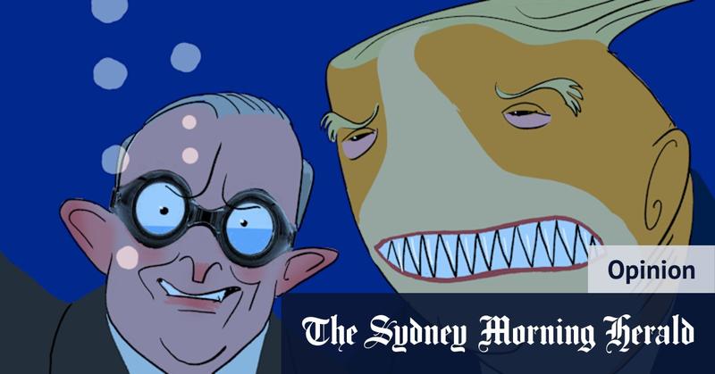 No need to rush, Albanese. Meeting with Trump can leave a country worse off