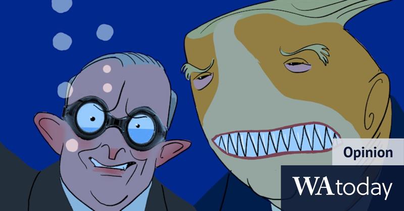 No need to rush, Albanese. Meeting with Trump can leave a country worse off