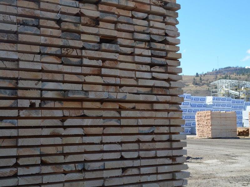 B.C. NDP promises on timber sales seem to be going in reverse