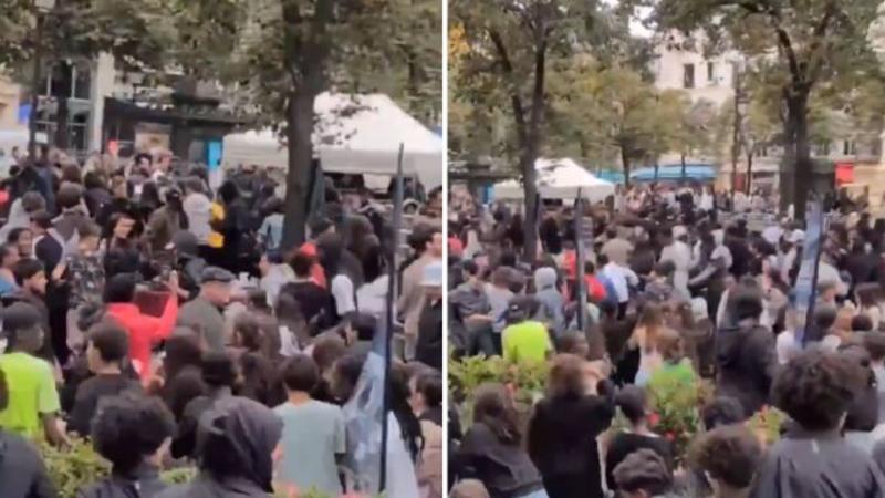 Ένα τηγανητό κοτόπουλο