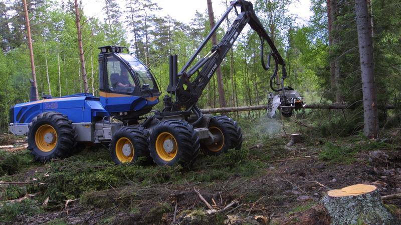 Antingen brukas skogen här eller någon annanstans