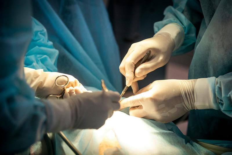 Don’t cut them out: lymph nodes may be key to cancer treatment