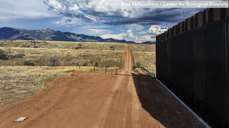 Weekly U.S.-Mexico Border Update: August migration rises, “mass deportation” human rights violations proliferate