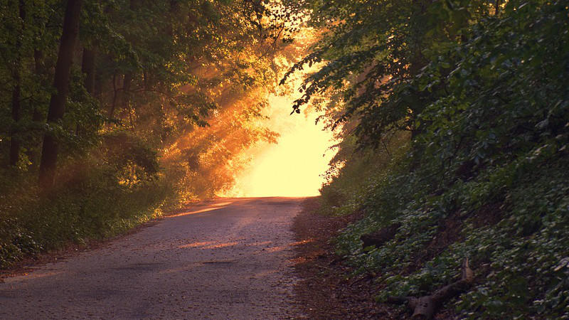The Way Home – OpEd