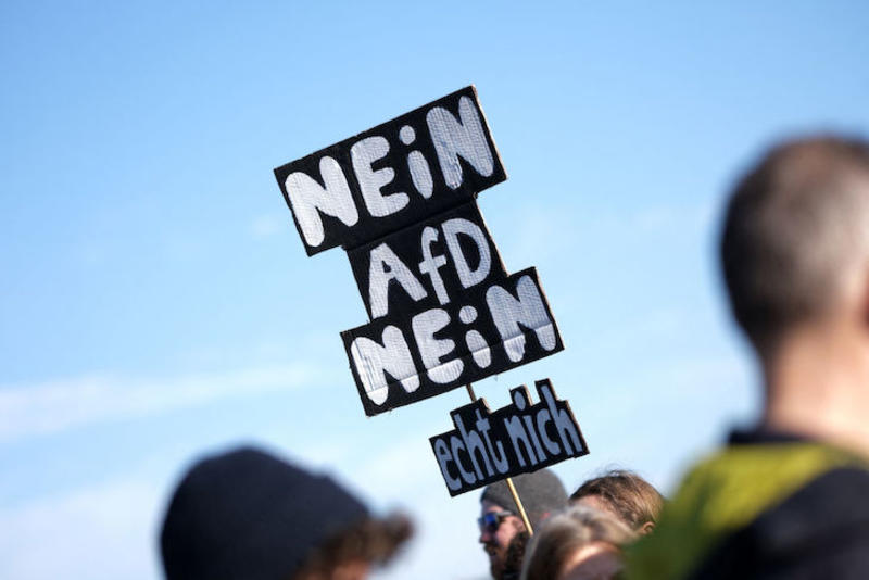 Schadenfreude /					 													 						The plight of Germany’s panicking centrists