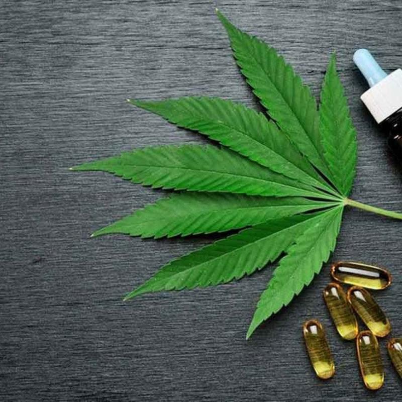 O canabidiol na luta contra o Transtorno do Espectro Autista