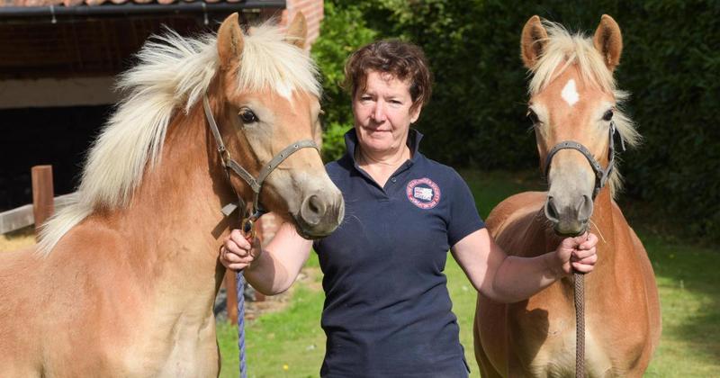 Horse breeder achieves 'bucket list' dream of judging at international show