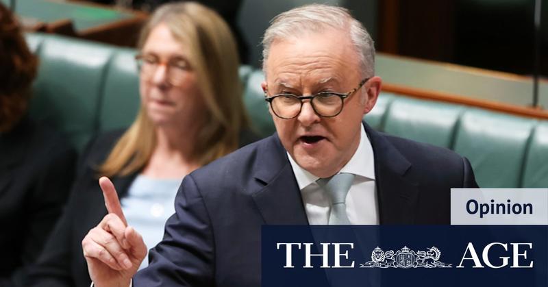 A larger parliament makes sense, but that’s not why Albanese wants one