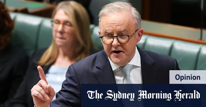 A larger parliament makes sense, but that’s not why Albanese wants one