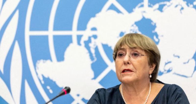 Michelle en la ONU