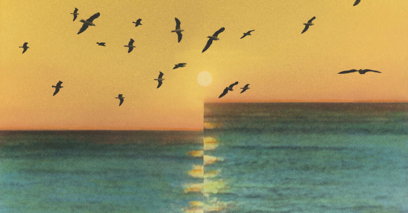 ‘The Idea of the Beautiful Is a Signature of God’: A Q&A With Marilynne Robinson