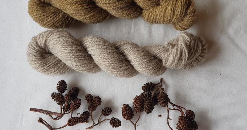 Exploring the wonder of heritage wool