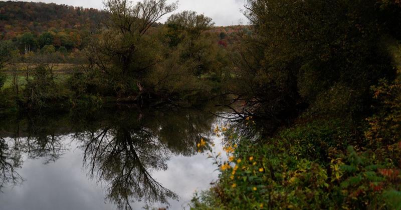 The Editorial Board: New Yorkers deserve better oversight of local waterways than the DEC is providing