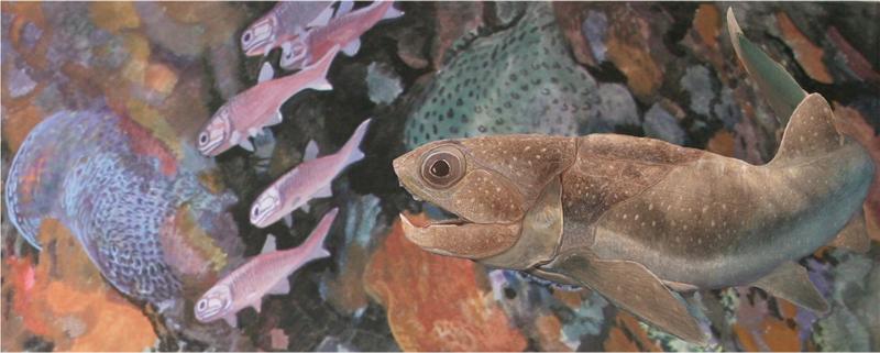 Many animals can reshape and shed their teeth – and now scientists have traced this ability back 380 million years