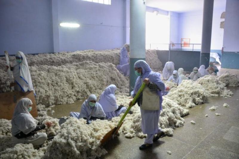 World Bank Recommends Bold Reforms to Restart Pakistan’s Poverty Reduction Efforts