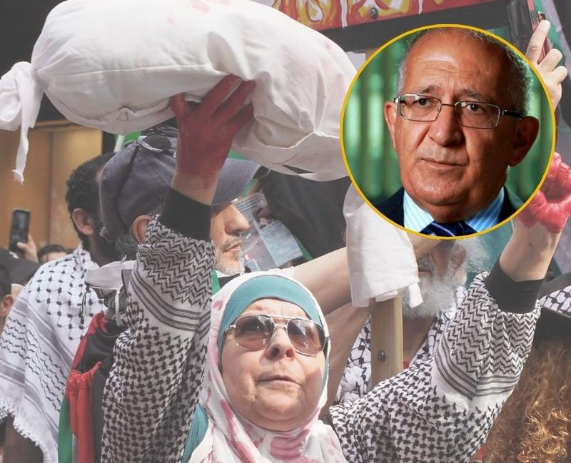 Chris Sidoti: Australia must act now on Gaza