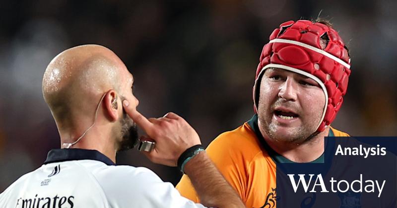 Wallabies struggle with breakdown clarity as penalty count soars