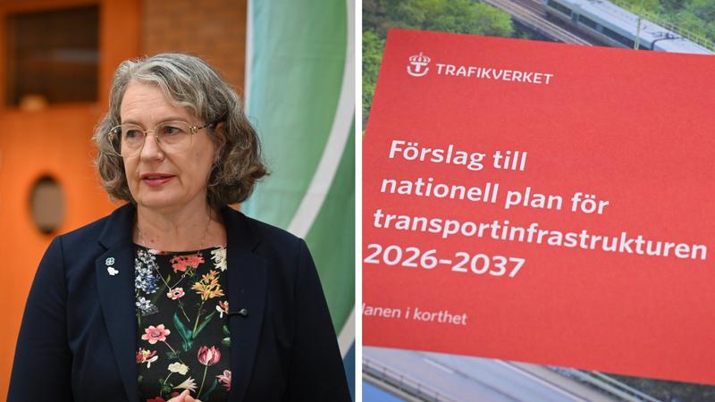 Delseger: Privata pengar är helt nödvändigt