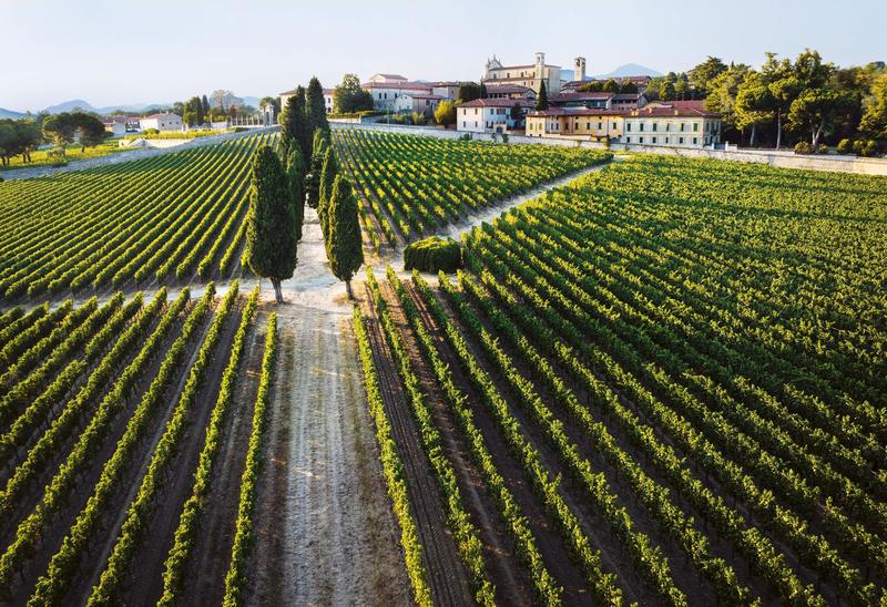Bellavista regista di emozioni al Festival Franciacorta
