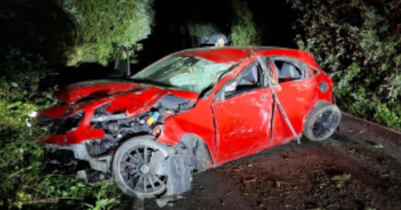 Drink driver and friend 'lucky to be alive' after crash