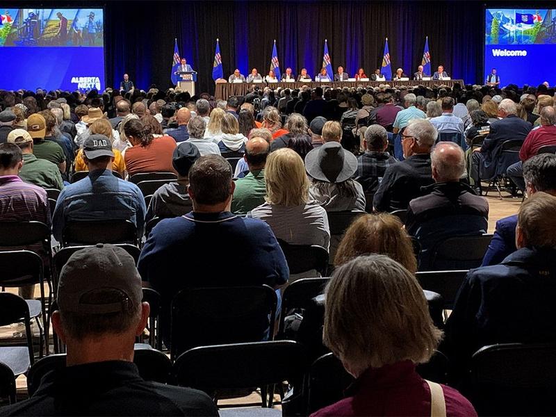 Braid: Student speaks out at Alberta Next session, gets referred for a spanking