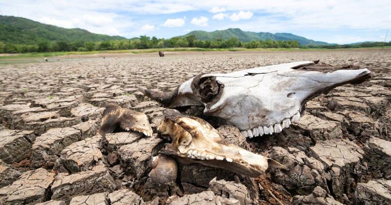 Tejiendo agendas. El agua y la alimentación en la crisis climática