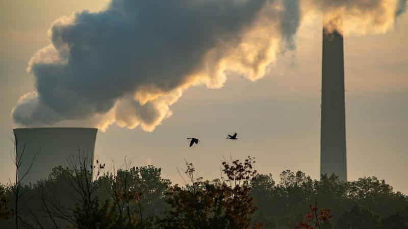 Team Trump Will Spend $625 Million and Open Public Lands to Revive a Dying Industry