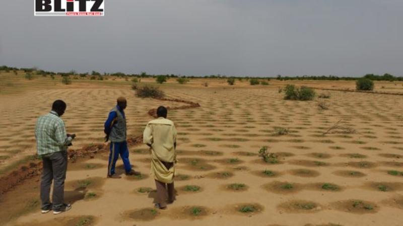 Land grabbing scandal in Burkina Faso: Withheld report exposes political corruption