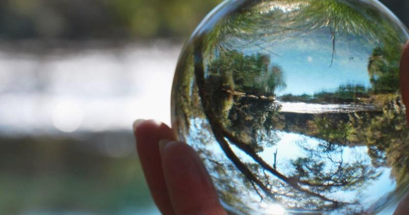 Cumplimiento ambiental integral, el camino empresarial para proteger la biodiversidad