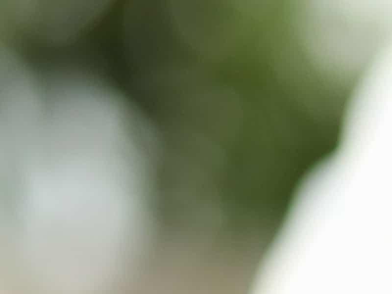 Les médecins doivent avoir un patron