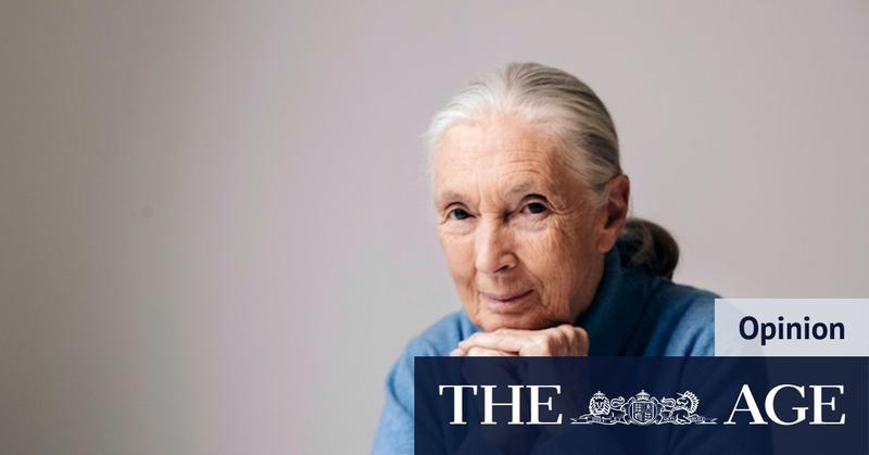 I worked with Jane Goodall. She had the energy of a stalking lion
